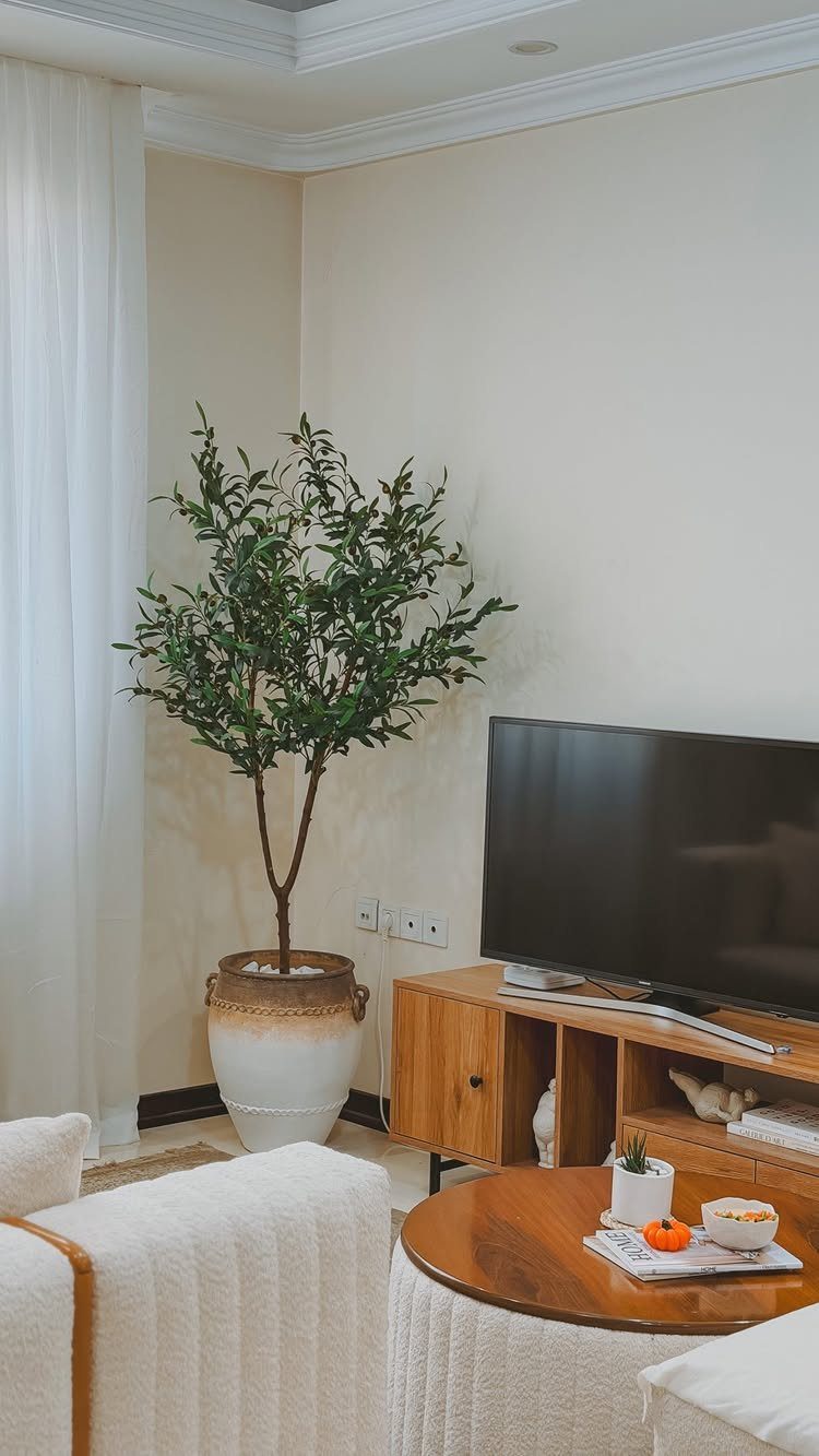 Tall green potted plant standing next to a wooden TV stand in a living room.