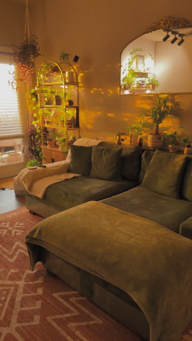 Olive green sectional sofa in a cozy room with gold shelving and plants.