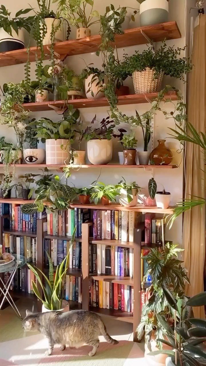 Wooden bookshelf and floating shelves filled with numerous potted green plants and books.
