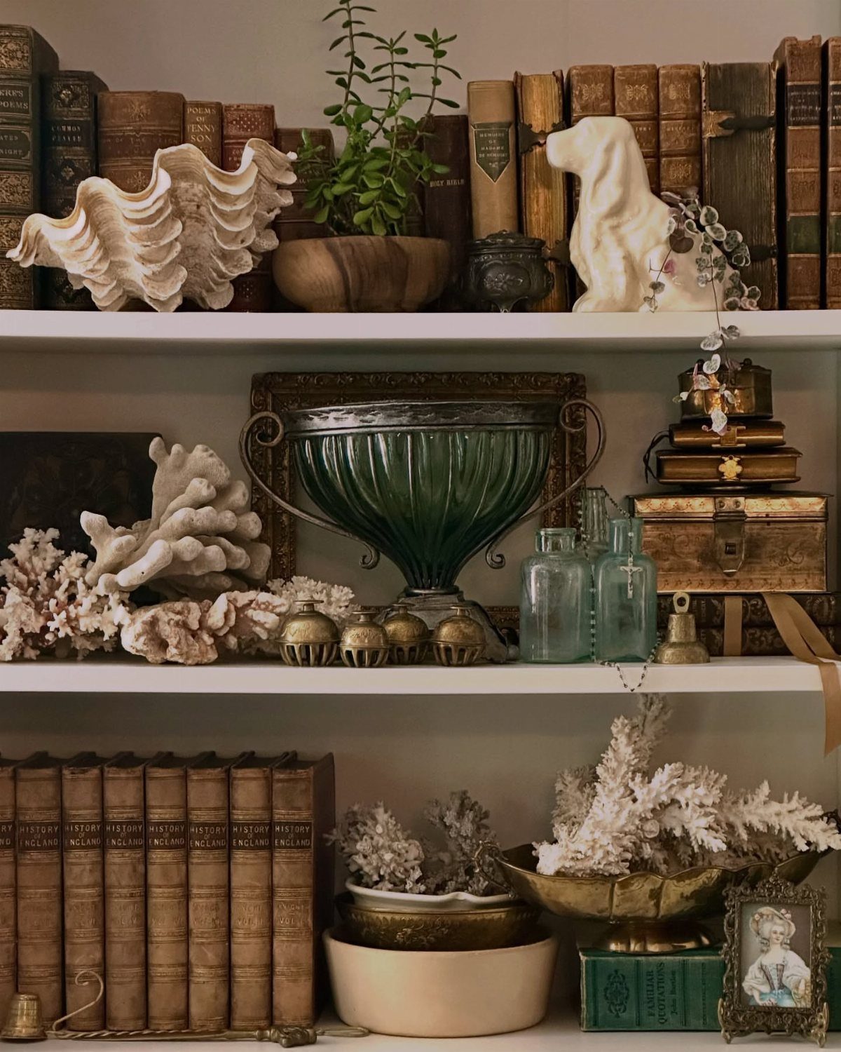 Bookshelf with leather books and groups of decor items like coral and shells.