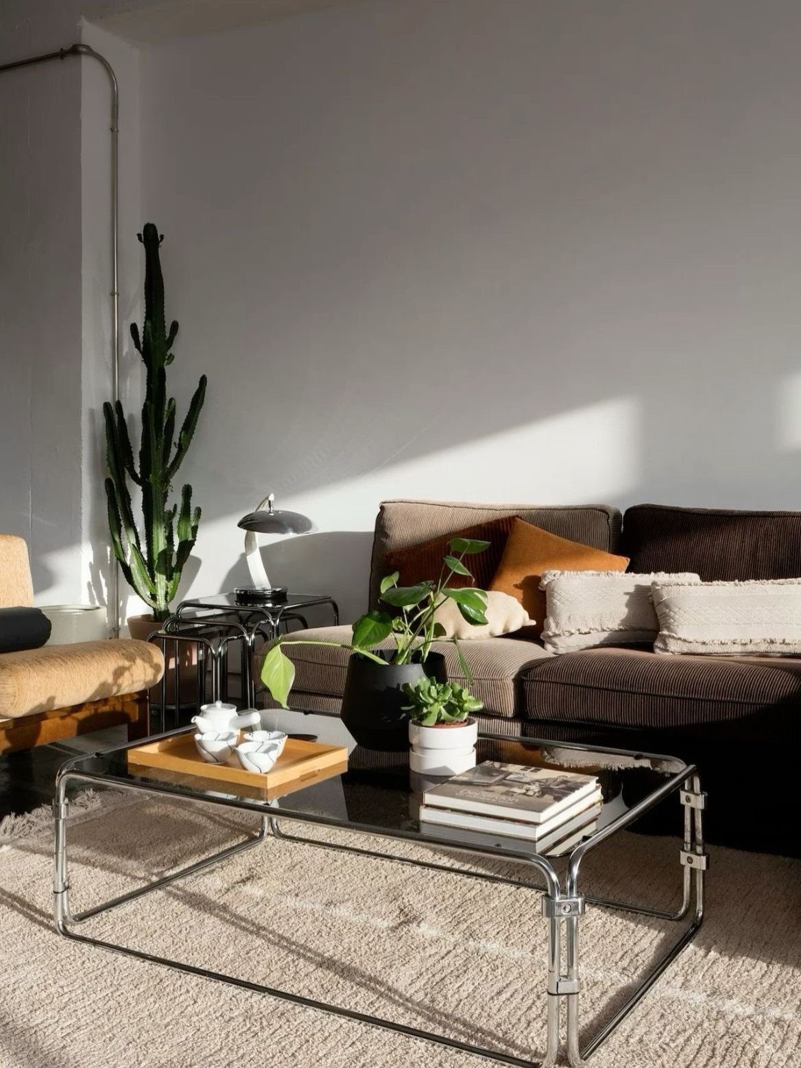 Acrylic coffee table with a wooden tray, potted plants, and books in a living room.
