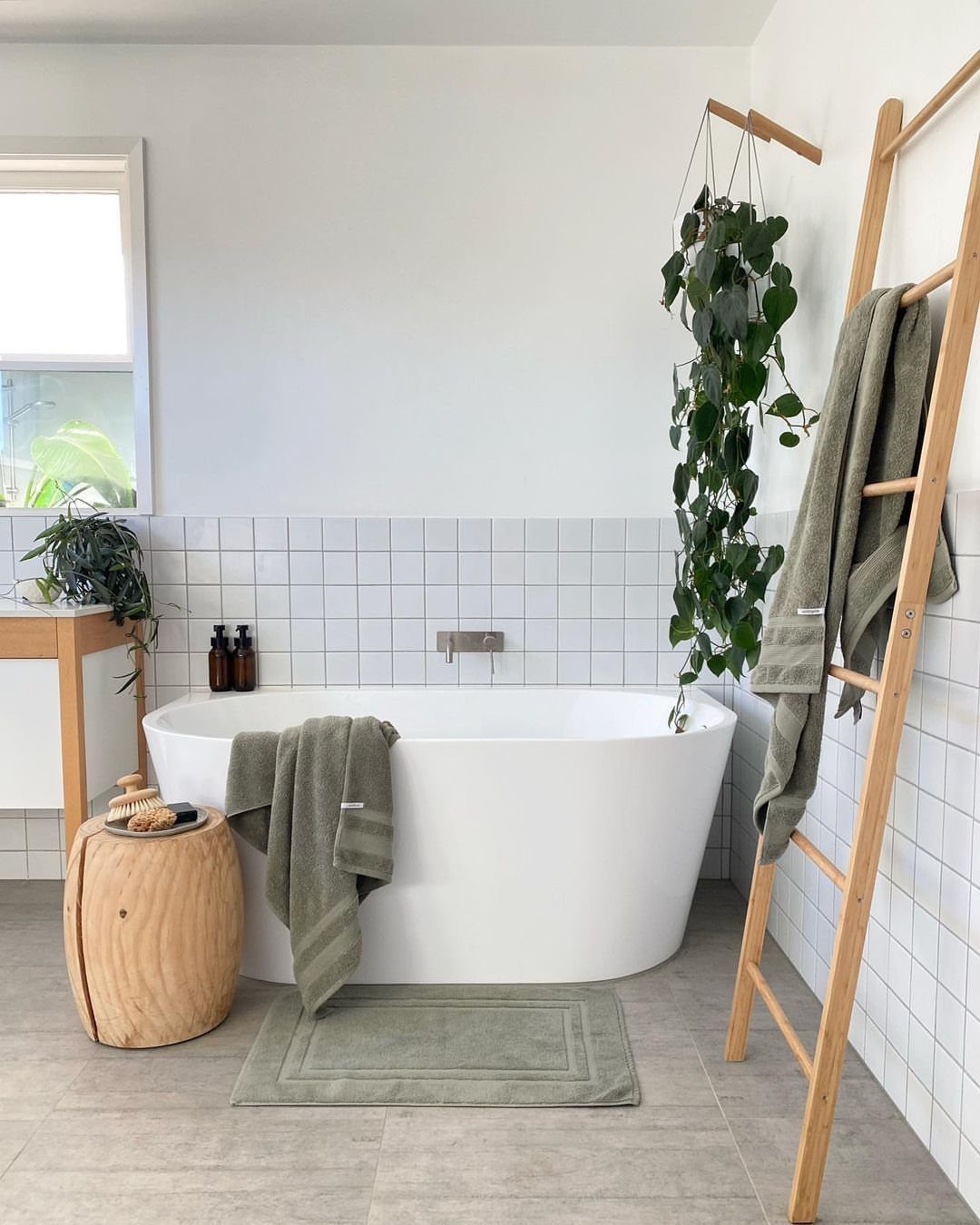 Hanging green plant with rounded leaves next to a white freestanding bathtub.