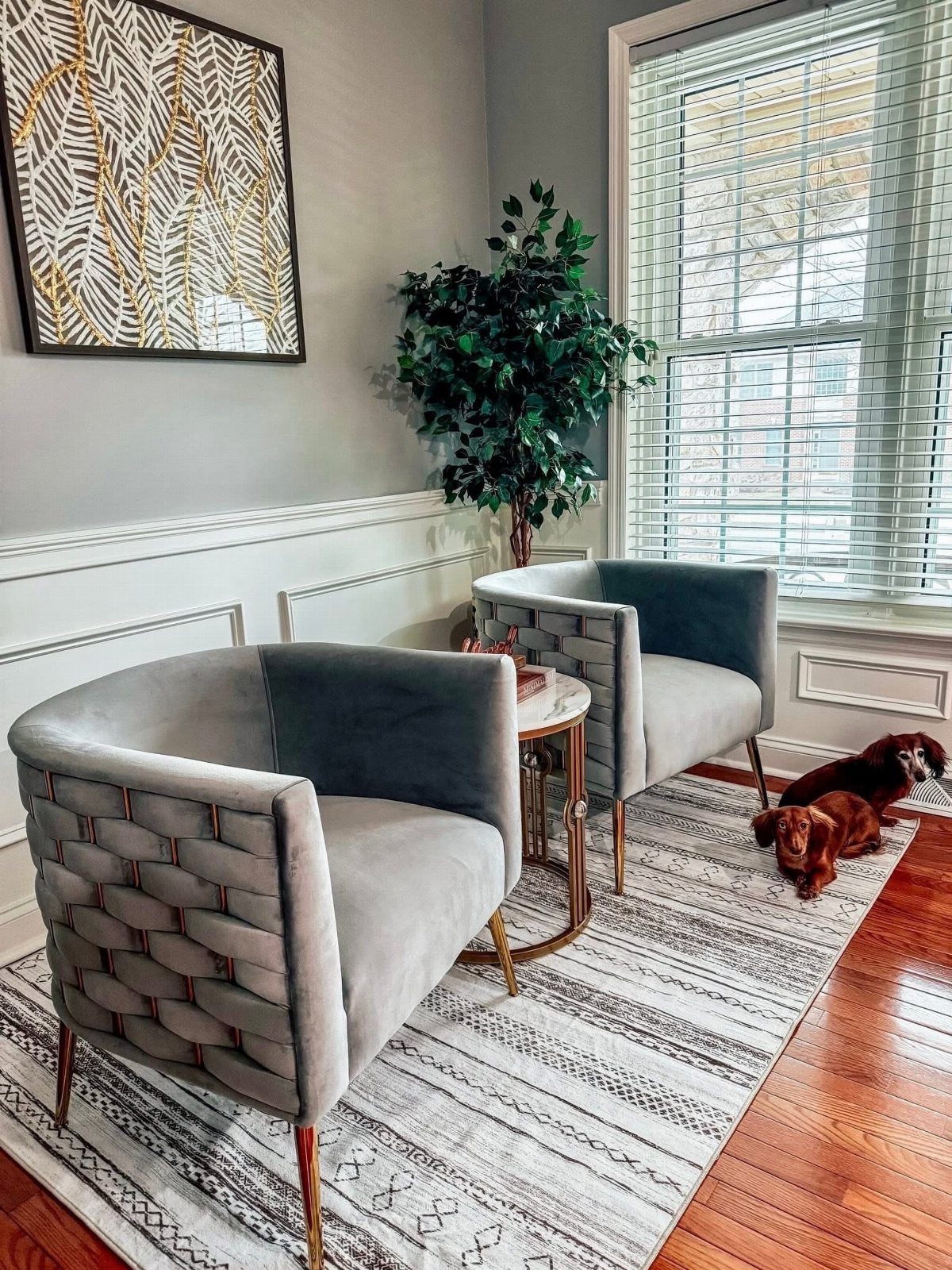 Two gray velvet armchairs with gold legs in a living room with gray walls.