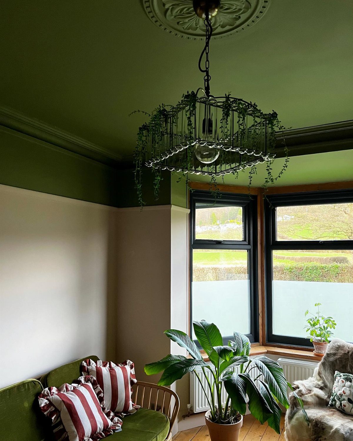 Dark green painted ceiling with a decorative medallion and hanging greenery chandelier.