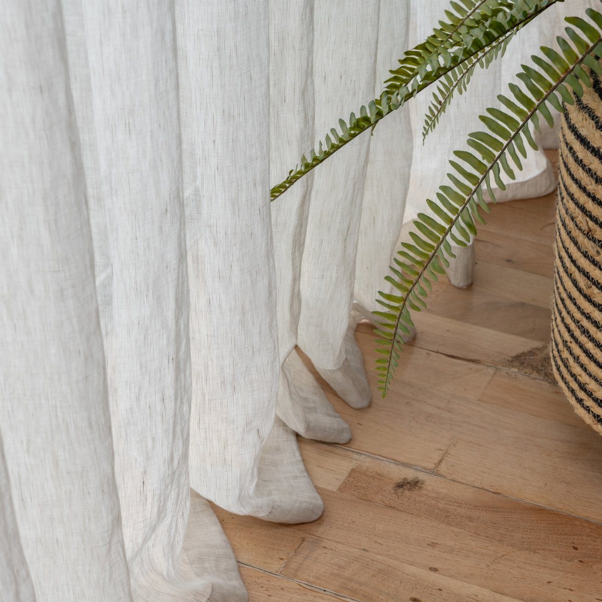 White sheer curtains pooling on a light wooden floor next to a green fern.