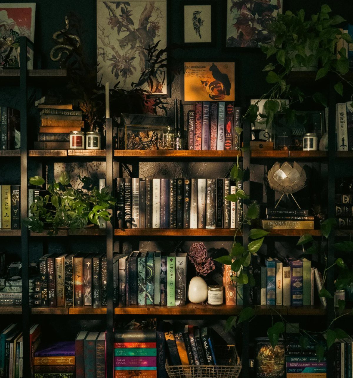 Wooden shelves with mixed upright and stacked books, greenery, and framed wall art.